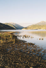 Load image into Gallery viewer, Canon Rebel 2000