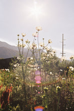 Load image into Gallery viewer, Canon Rebel 2000