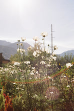 Load image into Gallery viewer, Canon Rebel G