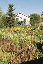 Load image into Gallery viewer, Canon Rebel 2000