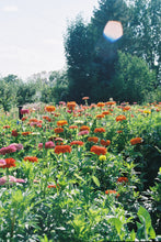 Load image into Gallery viewer, Canon EOS 10S