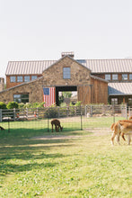 Load image into Gallery viewer, Canon Rebel T2