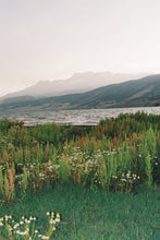 Load image into Gallery viewer, Canon EOS 10S