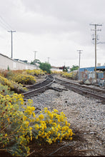 Load image into Gallery viewer, Canon Rebel GII