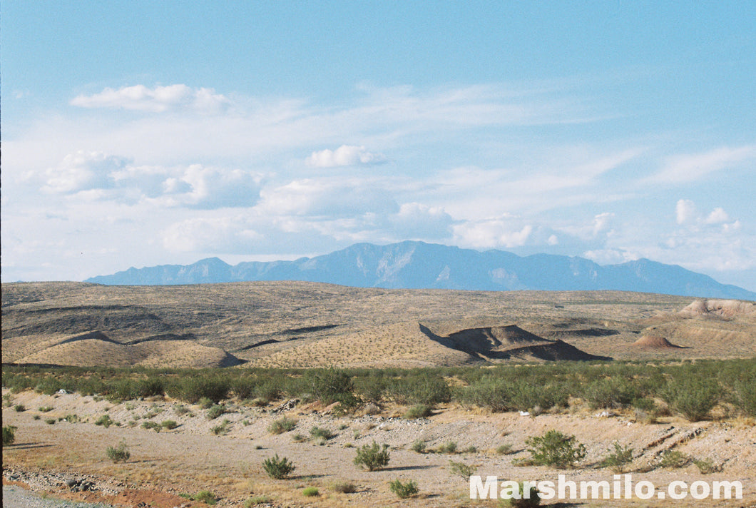 Desert Color