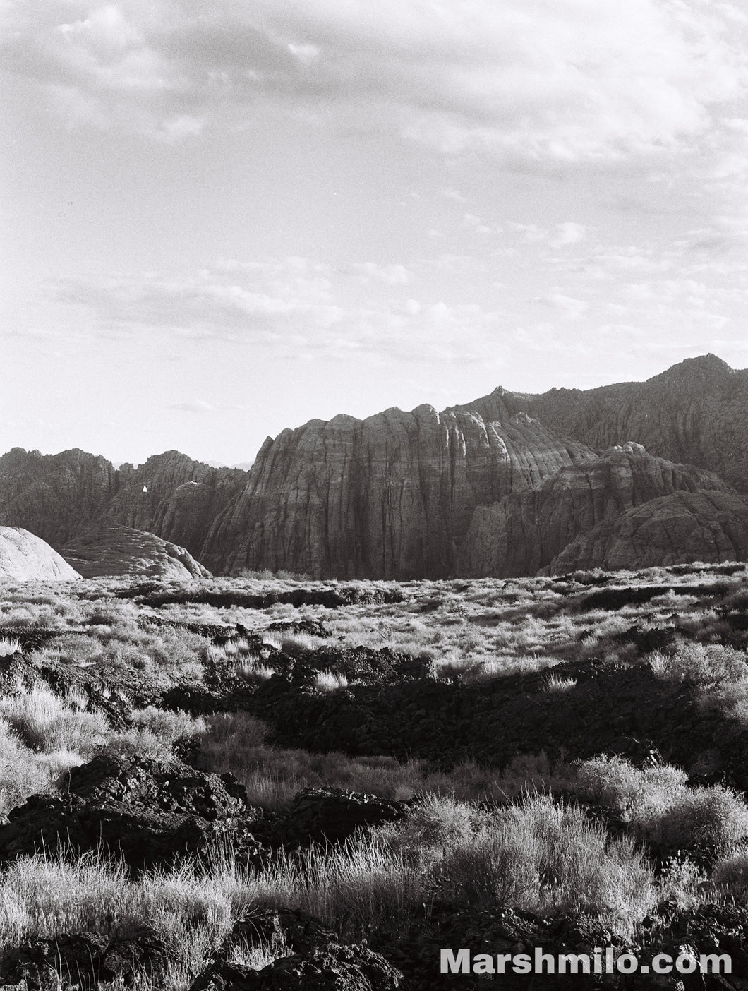 Snow Canyon B&W