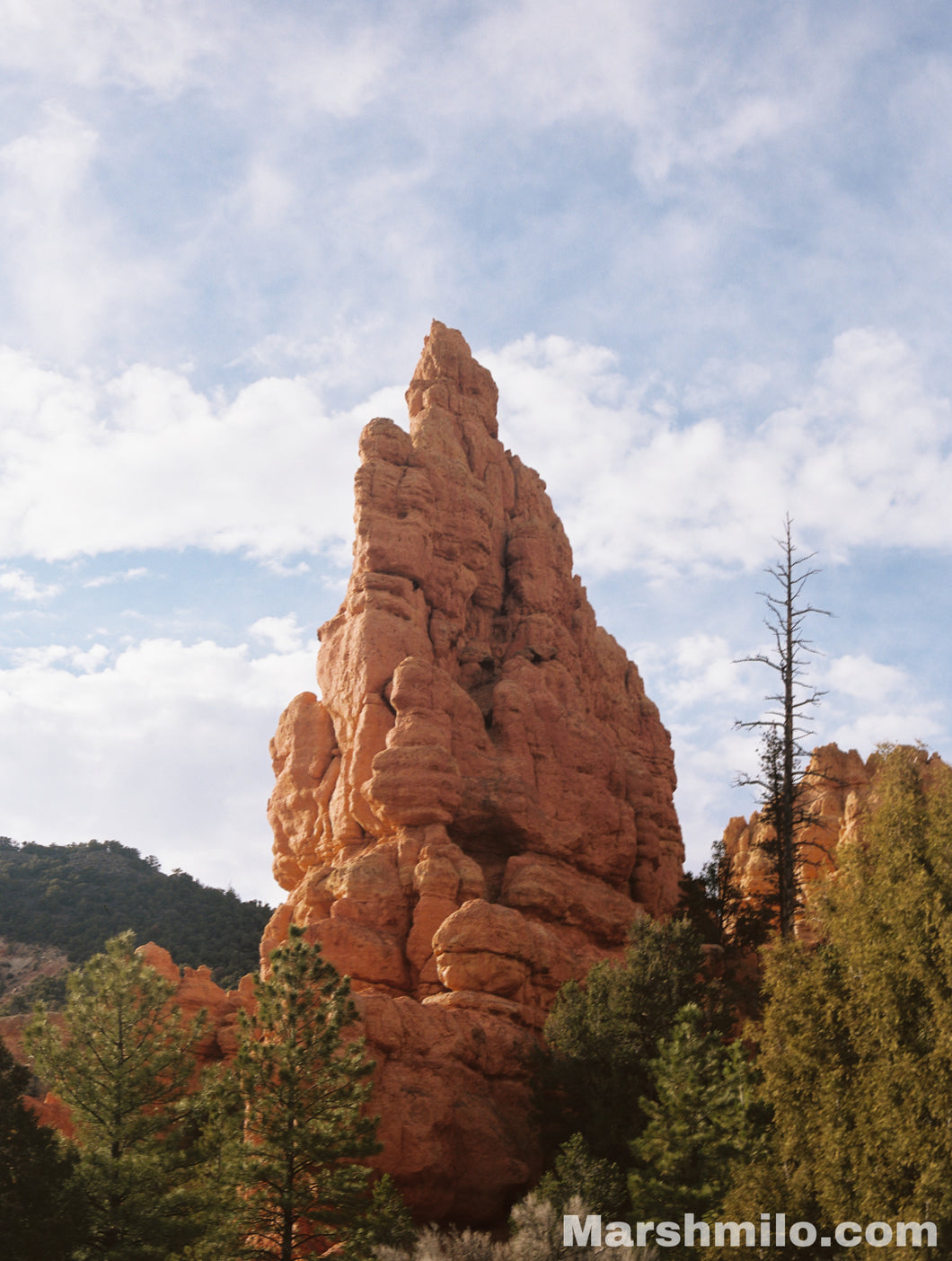 Bryce Canyon Color