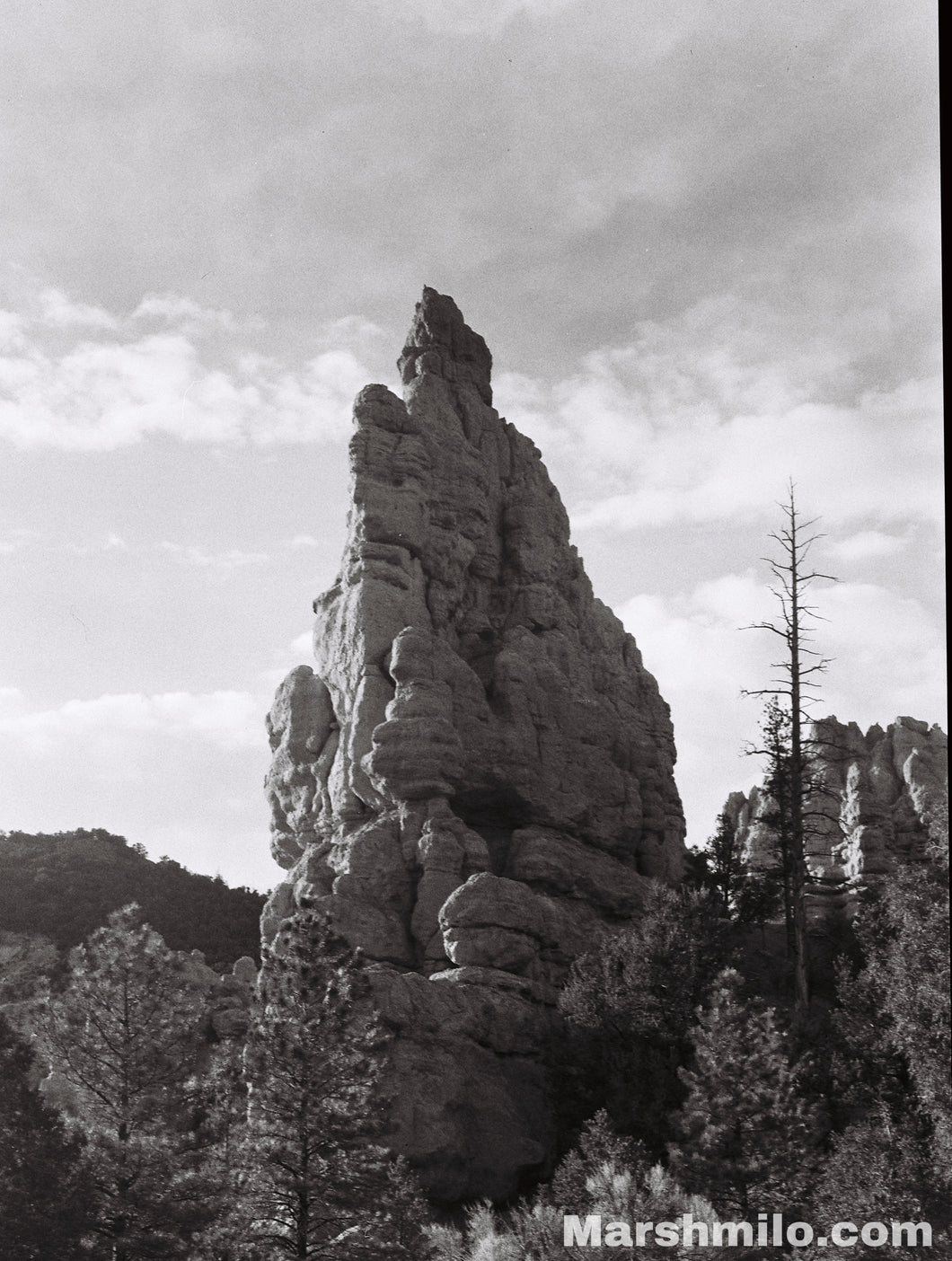 Bryce Canyon B&W