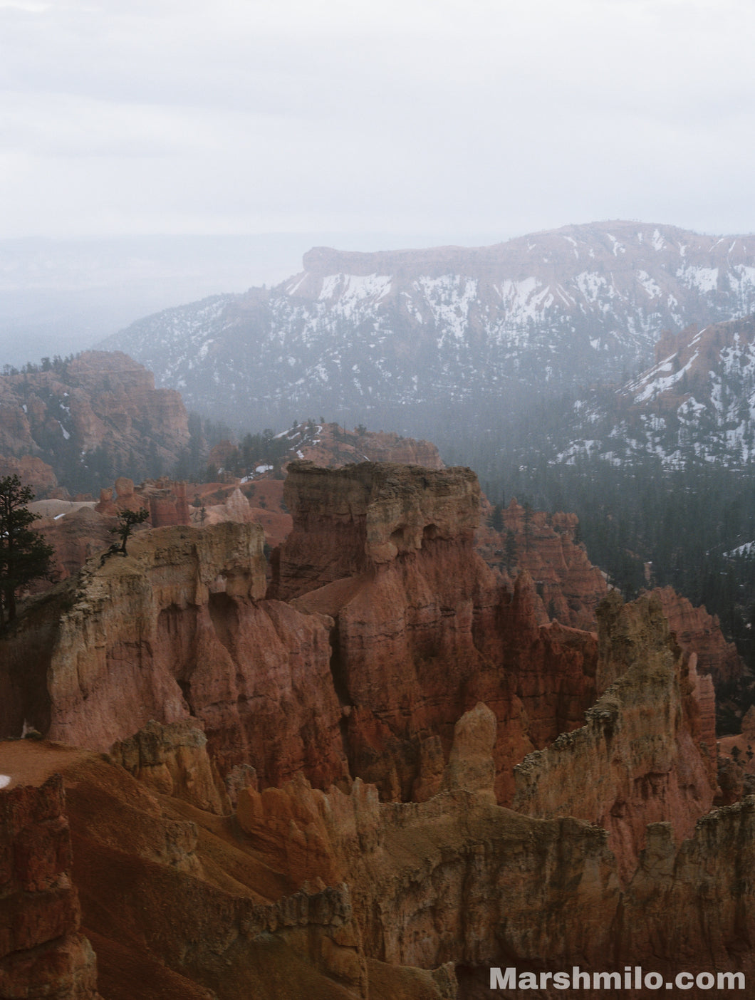 Bryce Canyon Snow