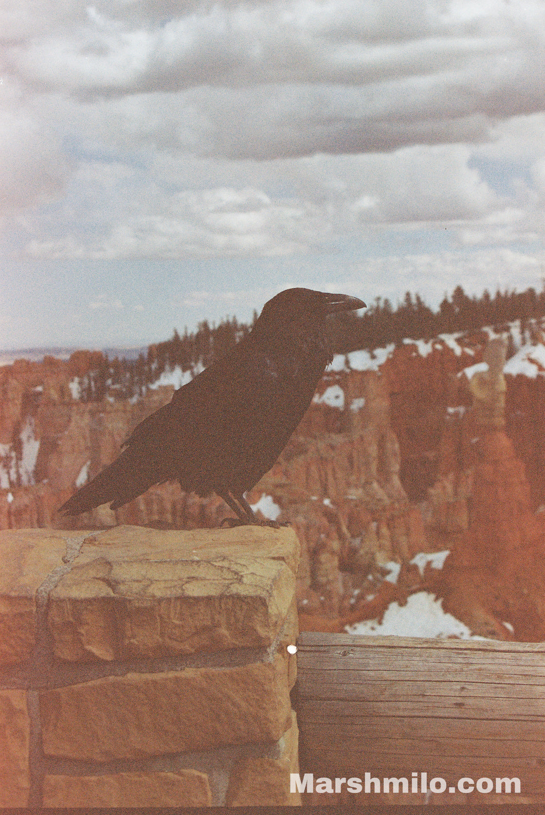 Bryce Raven Expired Film