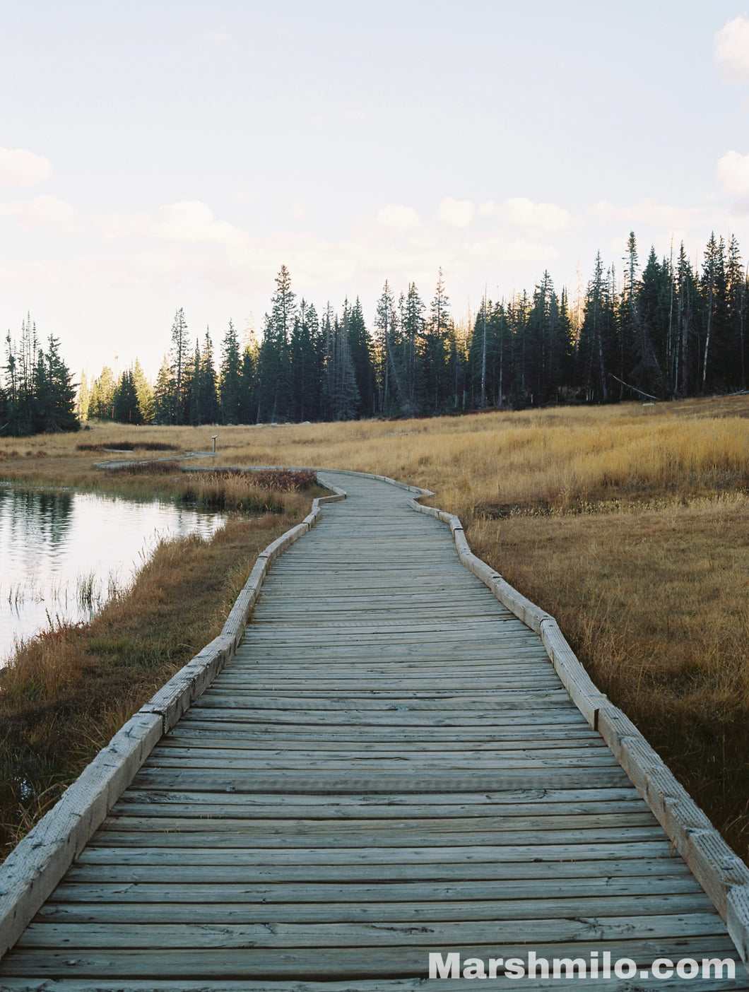 Mirror Lake Boardwalk