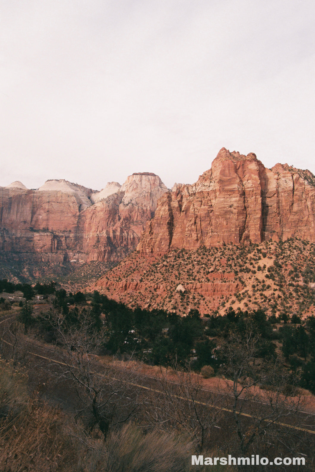 Zion January