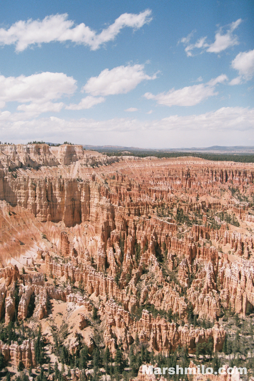 Bryce Canyon Hoodoos