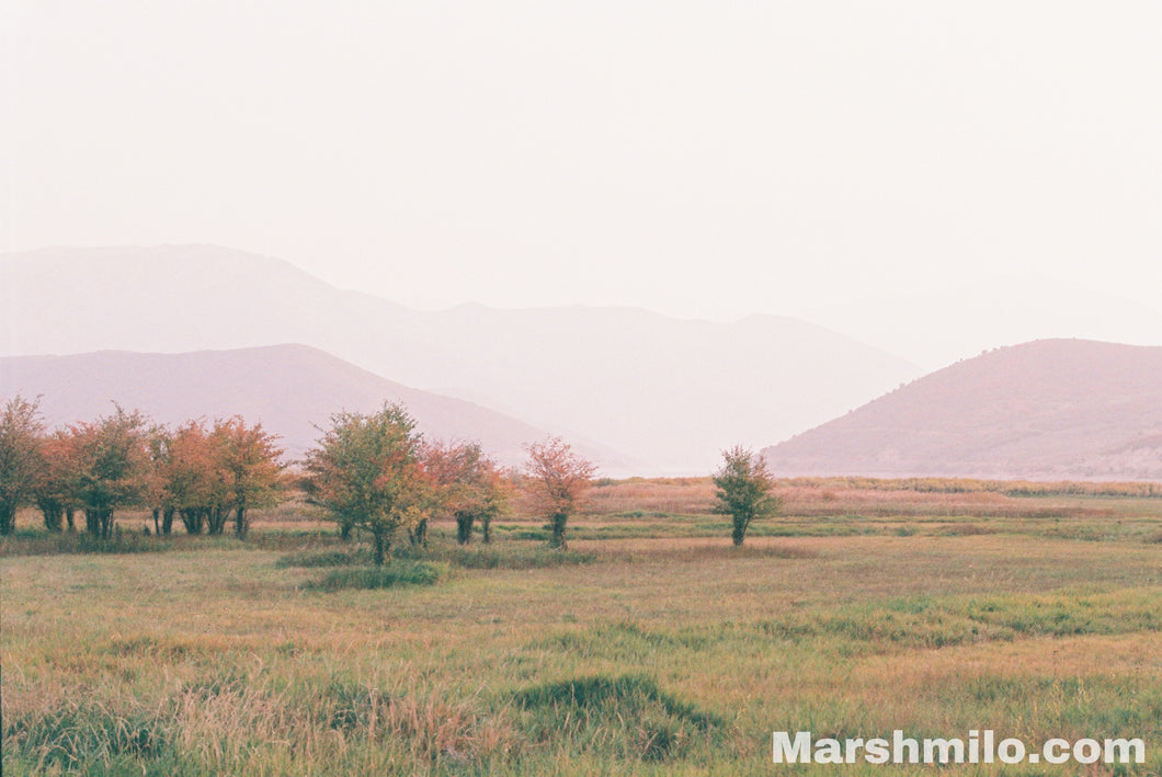 Fall Fields