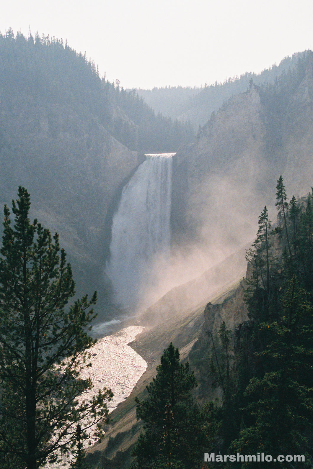 Yellowstone Falls