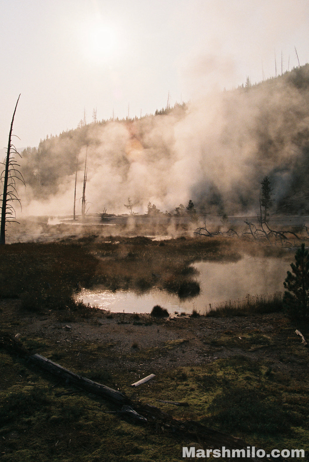 Yellowstone Paint Pots