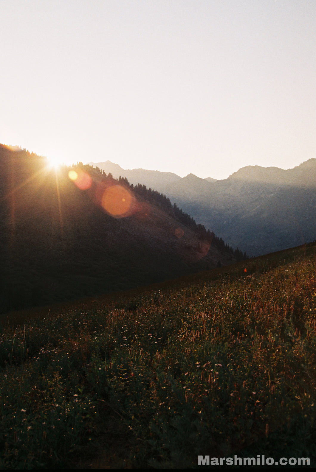 Albion Mountain Rays