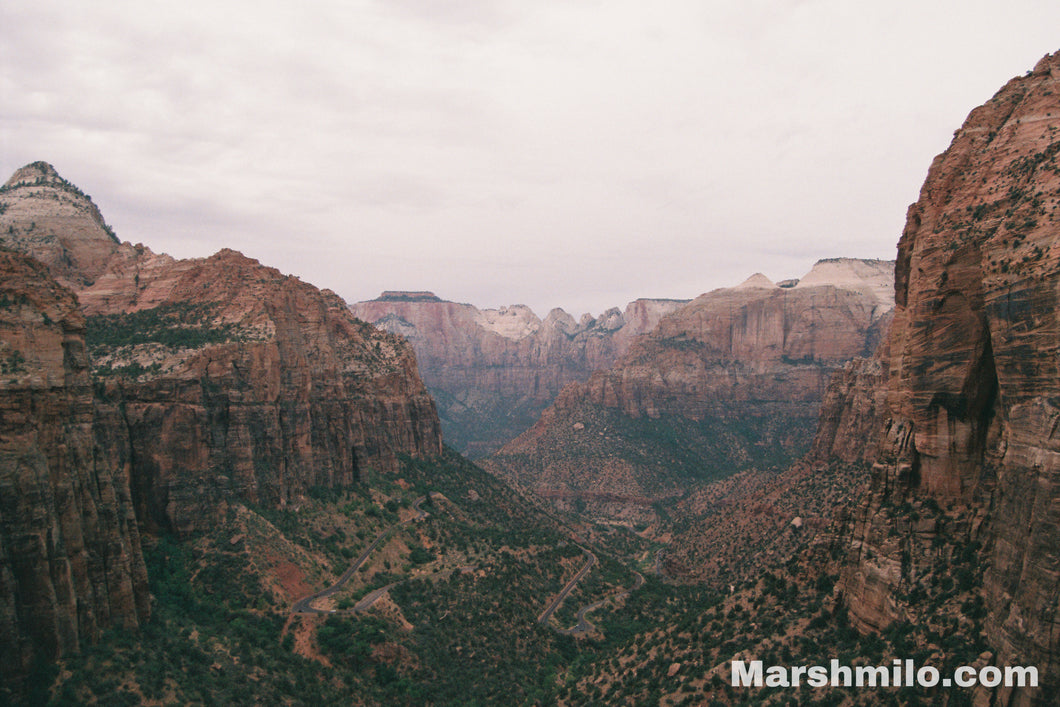 Zion Overlook