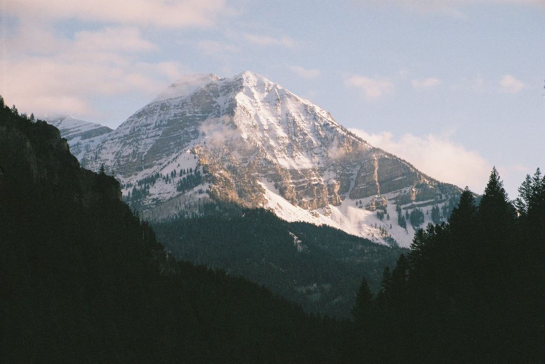 Timp from Tibble Fork